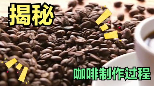 揭秘咖啡制作过程,看完你都不相信这么简单 食品工厂纪录片